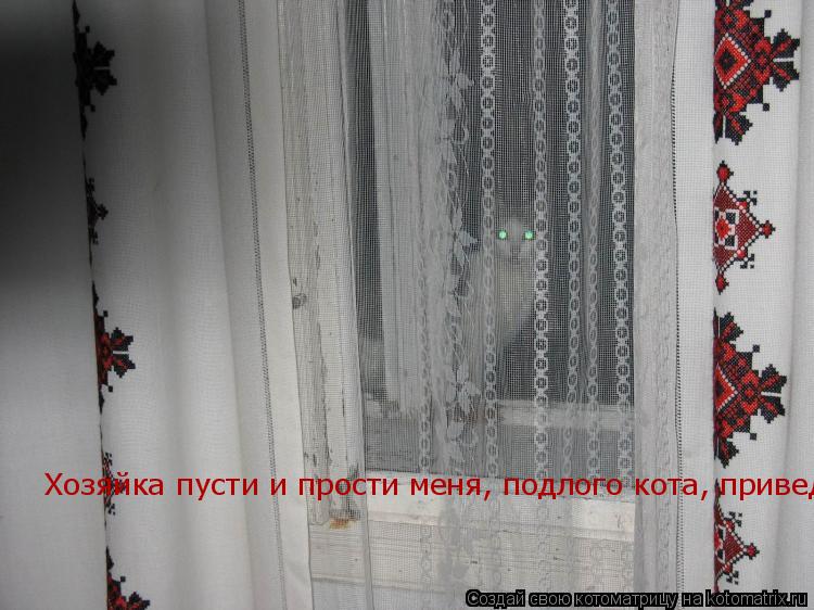 Хозяйка пусти и прости меня, подлого кота, приведение!... Котоматрица: Хозяйка пусти и прости меня, подлого кота, приведение!