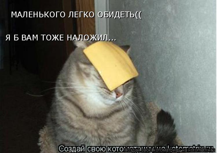 Я Б ВАМ ТОЖЕ НАЛОЖИЛ... МАЛЕНЬКОГО ЛЕГКО ОБИДЕТЬ((... Котоматрица: Я Б ВАМ ТОЖЕ НАЛОЖИЛ... МАЛЕНЬКОГО ЛЕГКО ОБИДЕТЬ((