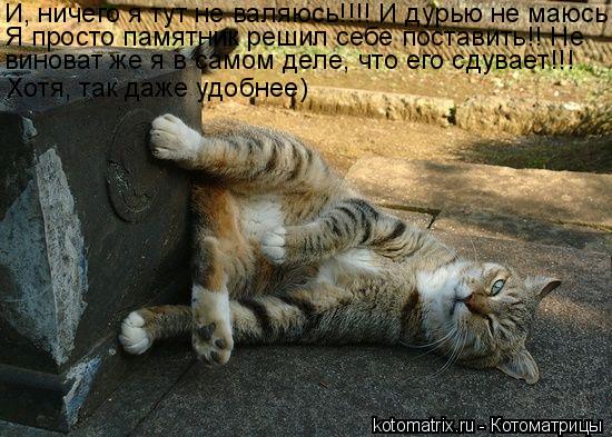 И, ничего я тут не валяюсь!!!! И дурью не маюсь! Я просто памятник решил себе поставить!! Не виноват ... Котоматрица: И, ничего я тут не валяюсь!!!! И дурью не маюсь! Я просто памятник решил себе поставить!! Не виноват же я в самом деле, что его сдувает!!! Хотя, та