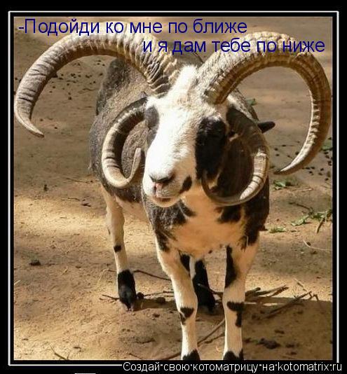 -Подойди ко мне по ближе и я дам тебе по ниже... Котоматрица: -Подойди ко мне по ближе и я дам тебе по ниже