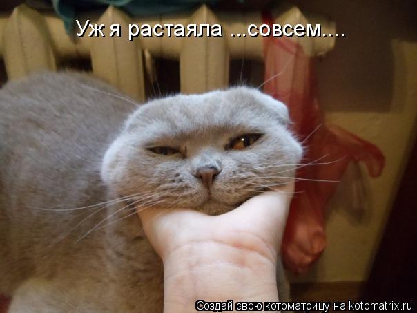 Котоматрица: Уж я растаяла ...совсем....