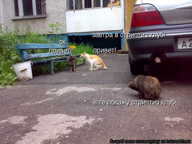 привет! привет! завтра в стриптиз клуб! я те покажу стриптиз клуб! ок... Котоматрица: привет! привет! завтра в стриптиз клуб! я те покажу стриптиз клуб! ок
