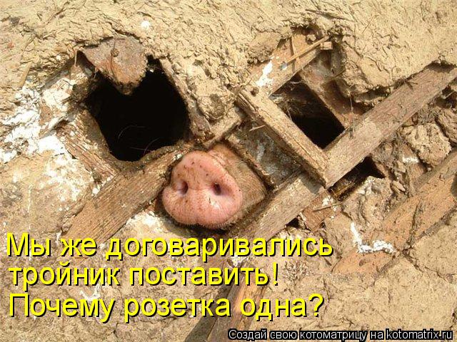 Мы же договаривались тройник поставить! Почему розетка одна?... Котоматрица: Мы же договаривались тройник поставить! Почему розетка одна?