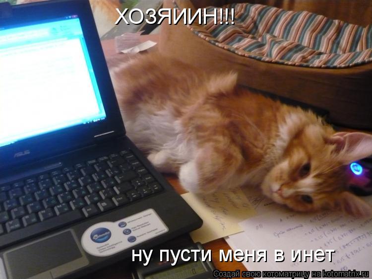 ХОЗЯИИН!!! ну пусти меня в инет... Котоматрица: ХОЗЯИИН!!! ну пусти меня в инет