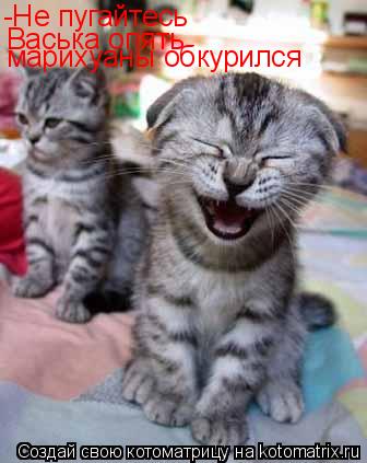 -Не пугайтесь Васька опять марихуаны обкурился... Котоматрица: -Не пугайтесь Васька опять марихуаны обкурился