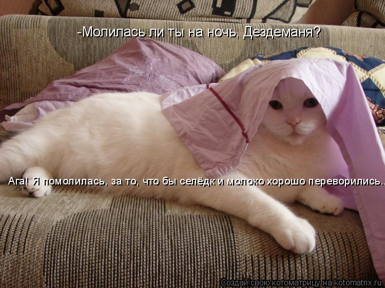 -Молилась ли ты на ночь, Дездеманя? Ага! Я помолилась, за то, что бы селёдк и молоко хорошо переворил... Котоматрица: -Молилась ли ты на ночь, Дездеманя? Ага! Я помолилась, за то, что бы селёдк и молоко хорошо переворились...