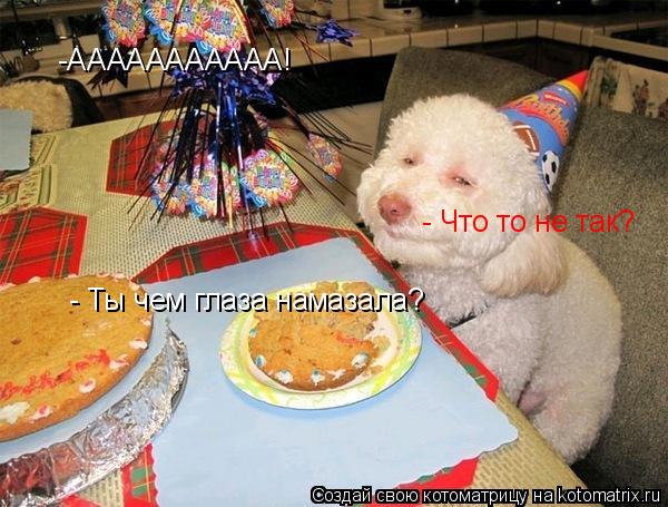 -ААААААААААА! - Что то не так? - Ты чем глаза намазала?... Котоматрица: -ААААААААААА! - Что то не так? - Ты чем глаза намазала?