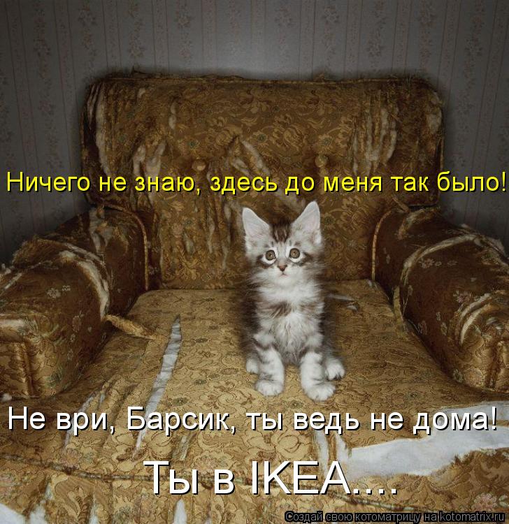 Ничего не знаю, здесь до меня так было! Не ври, Барсик, ты ведь не дома! Ты в IKEA....... Котоматрица: Ничего не знаю, здесь до меня так было! Не ври, Барсик, ты ведь не дома! Ты в IKEA....