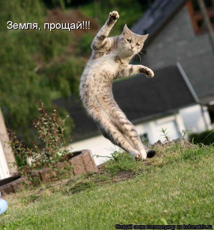 Земля, прощай!!!... Котоматрица: Земля, прощай!!!