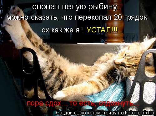 слопал целую рыбину... можно сказать, что перекопал 20 грядок ох как же я УСТАЛ!!! пора сдох... то ес... Котоматрица: слопал целую рыбину... можно сказать, что перекопал 20 грядок ох как же я УСТАЛ!!! пора сдох... то есть, отдохнуть...