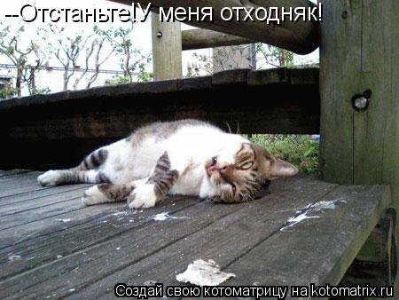--Отстаньте!У меня отходняк!... Котоматрица: --Отстаньте!У меня отходняк!