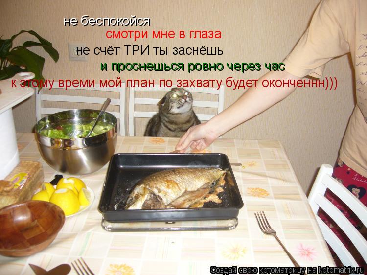 не беспокойся смотри мне в глаза не счёт ТРИ ты заснёшь и проснешься ровно через час к этому времи мо... Котоматрица: не беспокойся смотри мне в глаза не счёт ТРИ ты заснёшь и проснешься ровно через час к этому времи мой план по захвату будет оконченнн)))