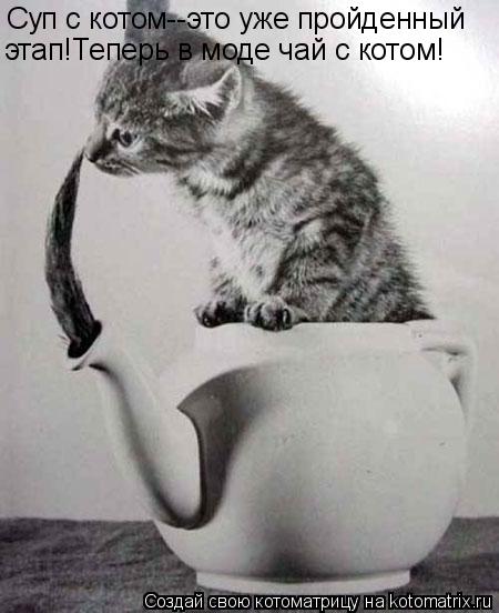 Суп с котом--это уже пройденный этап!Теперь в моде чай с котом!... Котоматрица: Суп с котом--это уже пройденный этап!Теперь в моде чай с котом!