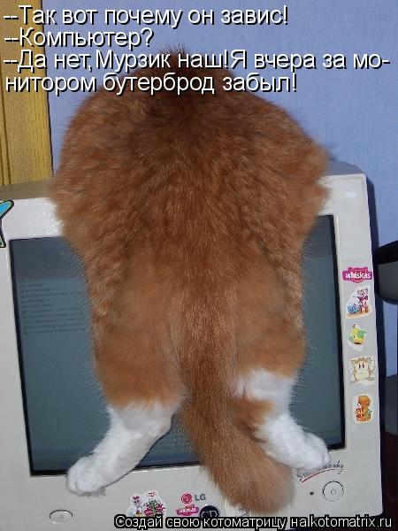 --Так вот почему он завис! --Компьютер? --Да нет,Мурзик наш!Я вчера за мо- нитором бутерброд забыл!... Котоматрица: --Так вот почему он завис! --Компьютер? --Да нет,Мурзик наш!Я вчера за мо- нитором бутерброд забыл!
