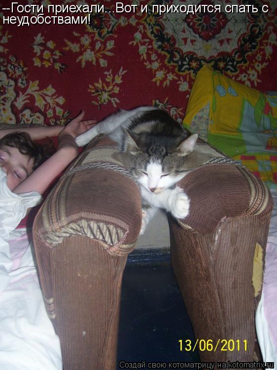 --Гости приехали...Вот и приходится спать с неудобствами!... Котоматрица: --Гости приехали...Вот и приходится спать с неудобствами!