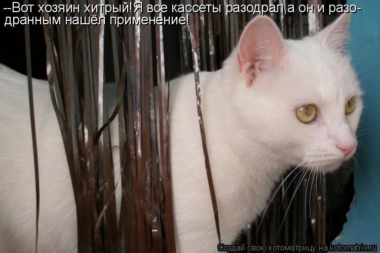 --Вот хозяин хитрый!Я все кассеты разодрал,а он и разо- дранным нашёл применение!... Котоматрица: --Вот хозяин хитрый!Я все кассеты разодрал,а он и разо- дранным нашёл применение!