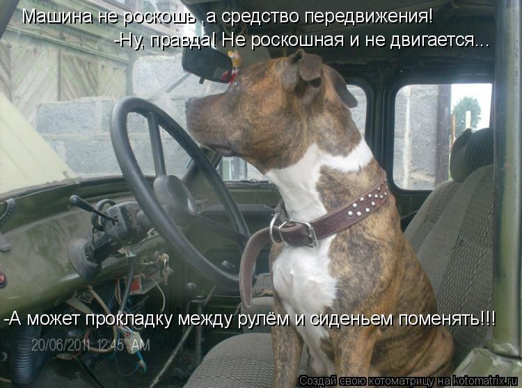Машина не роскошь ,а средство передвижения! -Ну, правда! Не роскошная и не двигается... -А может прок... Котоматрица: Машина не роскошь ,а средство передвижения! -Ну, правда! Не роскошная и не двигается... -А может прокладку между рулём и сиденьем поменять!!!
