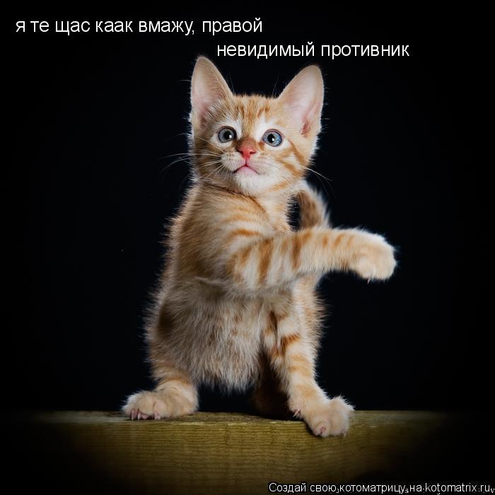 я те щас каак вмажу, правой невидимый противник... Котоматрица: я те щас каак вмажу, правой невидимый противник