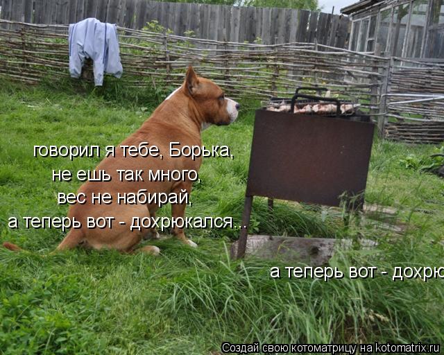 говорил я тебе, Борька, не ешь так много, вес не набирай, а теперь вот - дохрюкался... а теперь во... Котоматрица: говорил я тебе, Борька, не ешь так много, вес не набирай, а теперь вот - дохрюкался... а теперь вот - дохрюкался...