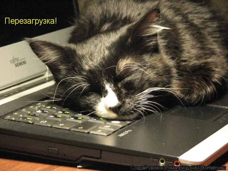 Перезагрузка!... Котоматрица: Перезагрузка!