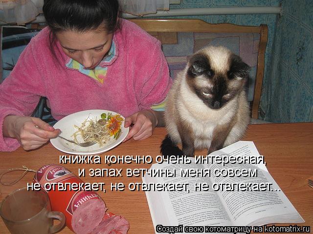 книжка конечно очень интересная, книжка конечно очень интересная, и запах ветчины меня совсем не о... Котоматрица: книжка конечно очень интересная, книжка конечно очень интересная, и запах ветчины меня совсем не отвлекает, не отвлекает, не отвлекает... н
