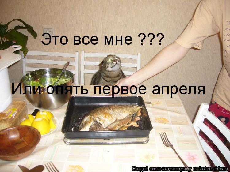 Это все мне ??? Или опять первое апреля... Котоматрица: Это все мне ??? Или опять первое апреля