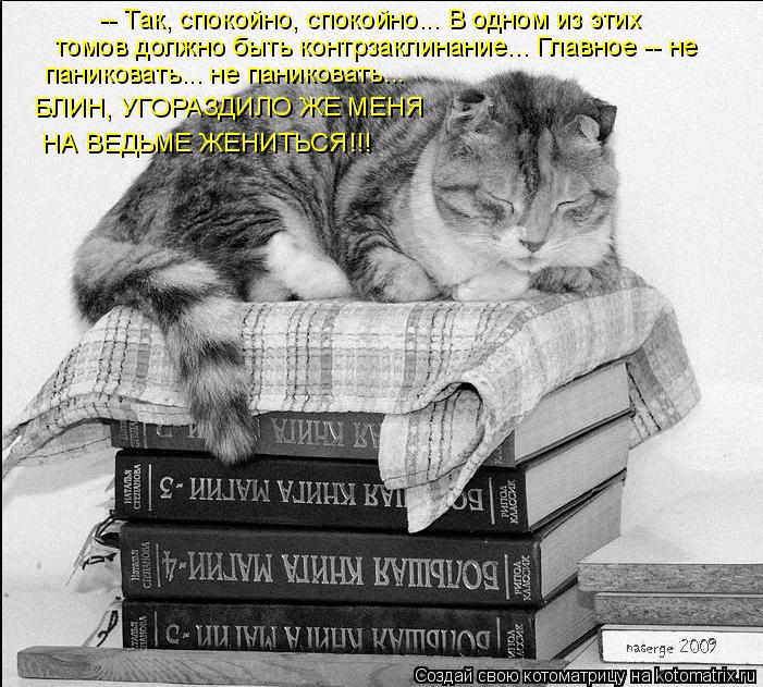 -- Так, спокойно, спокойно... В одном из этих томов должно быть контрзаклинание... Главное -- не пани... Котоматрица: -- Так, спокойно, спокойно... В одном из этих томов должно быть контрзаклинание... Главное -- не паниковать... не паниковать... БЛИН, УГОРАЗДИЛО ЖЕ