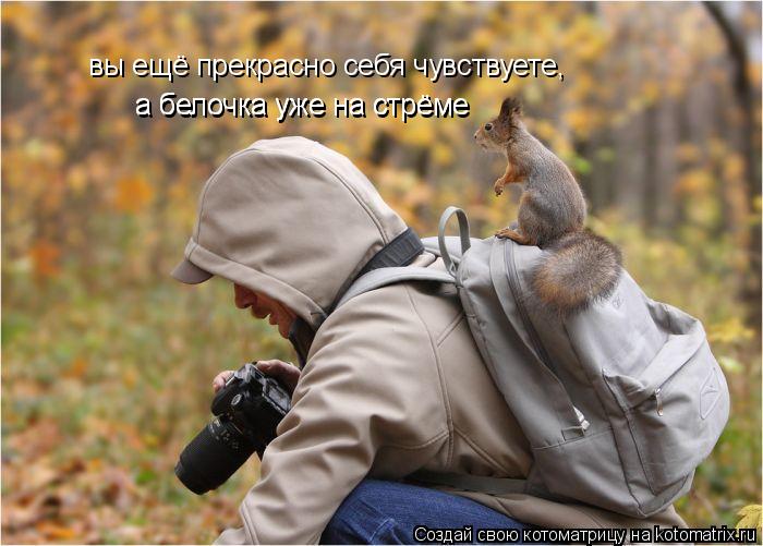 вы ещё прекрасно себя чувствуете, а белочка уже на стрёме а белочка уже на стрёме... Котоматрица: вы ещё прекрасно себя чувствуете, а белочка уже на стрёме а белочка уже на стрёме