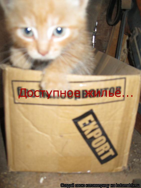 Доступное жильё...... Котоматрица: Доступное жильё...