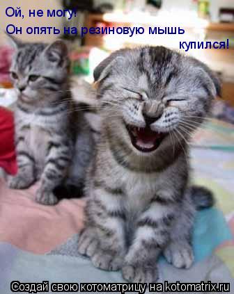 Он опять на резиновую мышь Ой, не могу! купился!... Котоматрица: Он опять на резиновую мышь Ой, не могу! купился!