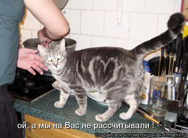 ой, а мы на Вас не рассчитывали !... Котоматрица: ой, а мы на Вас не рассчитывали !