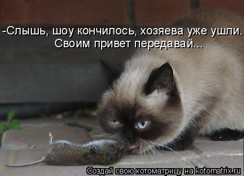 -Слышь, шоу кончилось, хозяева уже ушли. Своим привет передавай...... Котоматрица: -Слышь, шоу кончилось, хозяева уже ушли. Своим привет передавай...