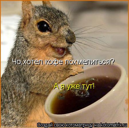 Чо,хотел кофе похмелиться? А я уже тут!... Котоматрица: Чо,хотел кофе похмелиться? А я уже тут!
