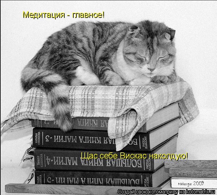 Медитация - главное! Щас себе Вискас наколдую!... Котоматрица: Медитация - главное! Щас себе Вискас наколдую!