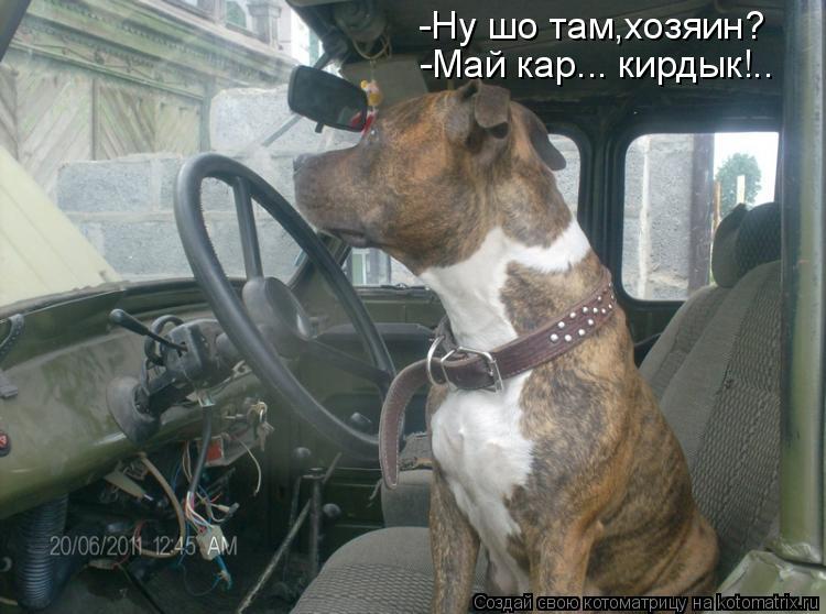 -Ну шо там,хозяин? -Май кар... кирдык!..... Котоматрица: -Ну шо там,хозяин? -Май кар... кирдык!..