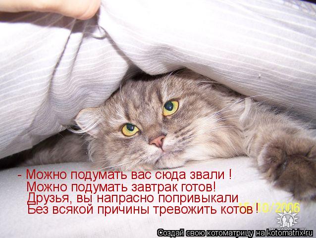 - Можно подумать вас сюда звали ! Можно подумать завтрак готов! Друзья, вы напрасно попривыкали Без в... Котоматрица: - Можно подумать вас сюда звали ! Можно подумать завтрак готов! Друзья, вы напрасно попривыкали Без всякой причины тревожить котов !