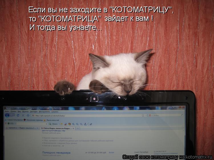 Если вы не заходите в "КОТОМАТРИЦУ", то "КОТОМАТРИЦА" зайдет к вам ! И тогда вы узнаете...... Котоматрица: Если вы не заходите в "КОТОМАТРИЦУ", то "КОТОМАТРИЦА" зайдет к вам ! И тогда вы узнаете...