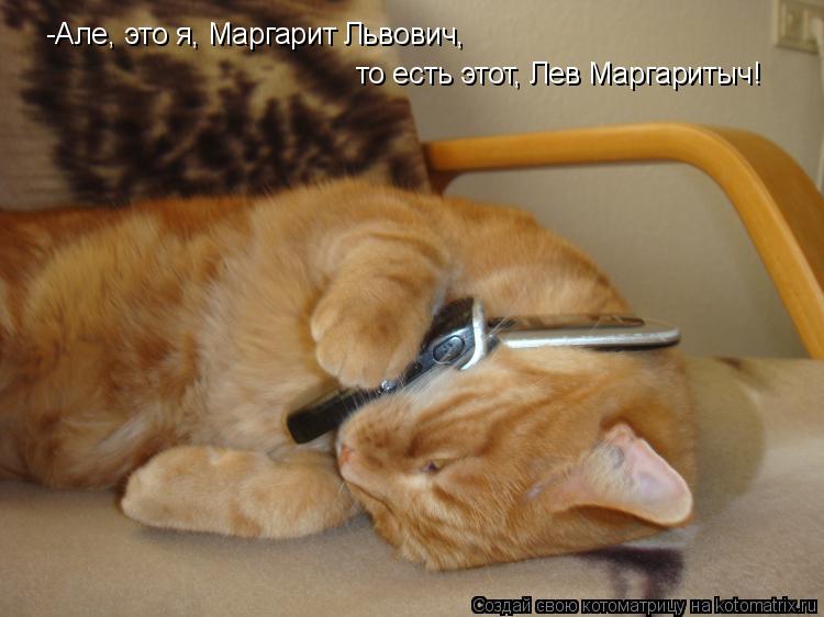 -Але, это я, Маргарит Львович, то есть этот, Лев Маргаритыч!... Котоматрица: -Але, это я, Маргарит Львович, то есть этот, Лев Маргаритыч!
