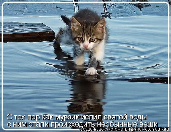С тех пор как мурзик испил святой воды с ним стали происходить необычные вещи... Котоматрица: С тех пор как мурзик испил святой воды с ним стали происходить необычные вещи