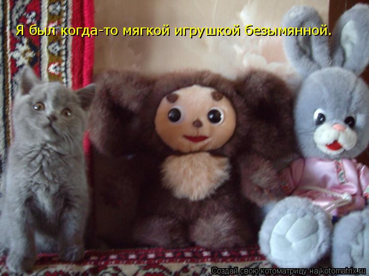 Я был когда-то мягкой игрушкой безымянной.... Котоматрица: Я был когда-то мягкой игрушкой безымянной.