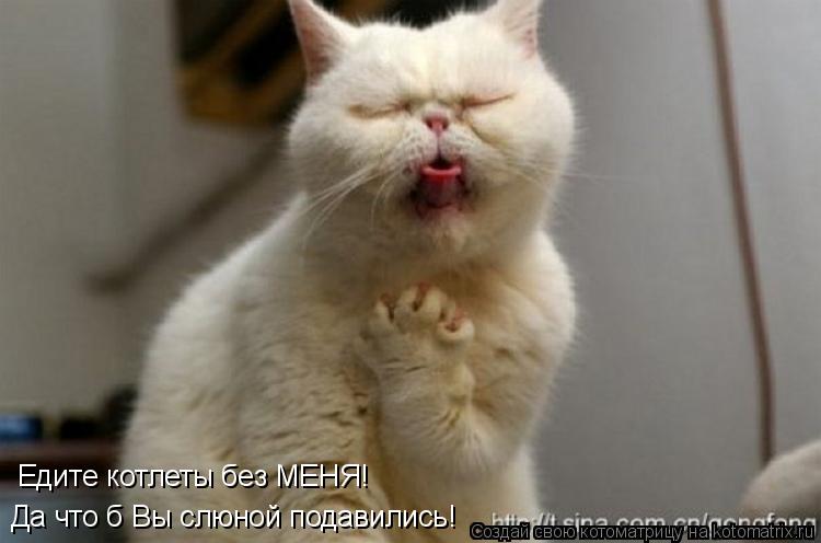Котоматрица: Едите котлеты без МЕНЯ! Да что б Вы слюной подавились!