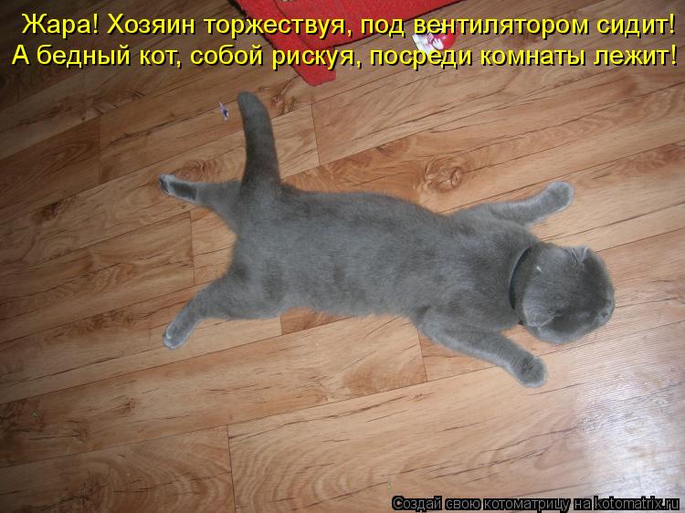 Котоматрица: Жара! Хозяин торжествуя, под вентилятором сидит!  А бедный кот, собой рискуя, посреди комнаты лежит!