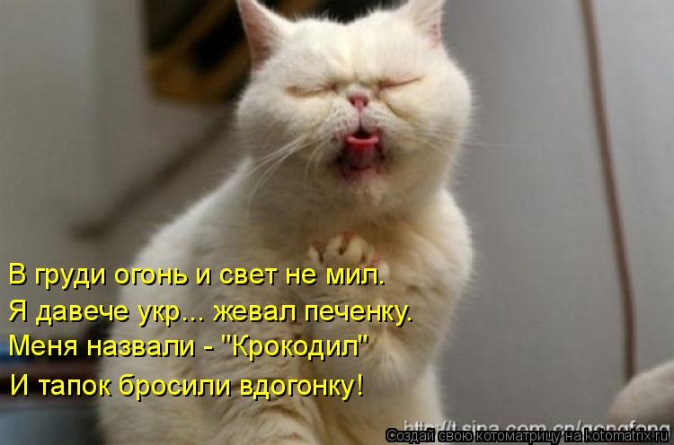 Котоматрица: В груди огонь и свет не мил.  Я давече укр... жевал печенку.  Меня назвали - "Крокодил"  И тапок бросили вдогонку!