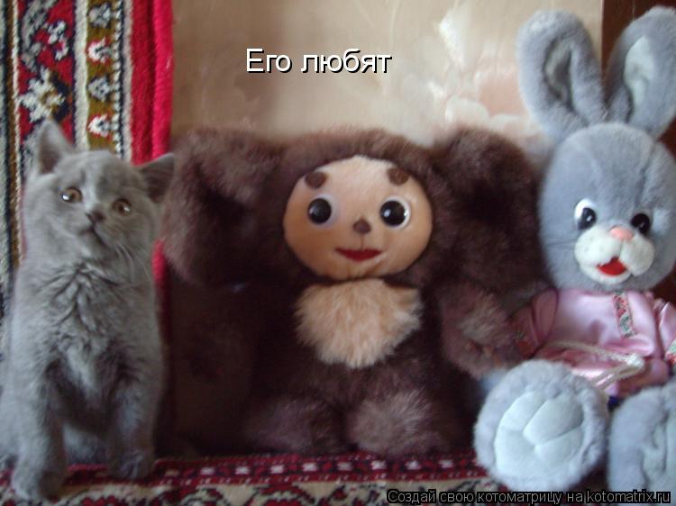 Котоматрица: Его любят