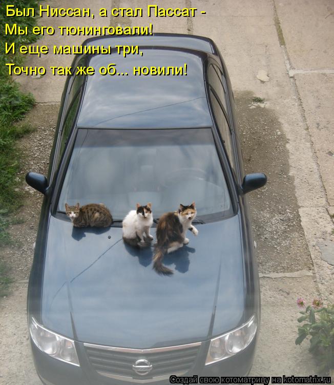 Котоматрица: Был Ниссан, а стал Пассат -  Мы его тюнинговали!  И еще машины три,  Точно так же об... новили!