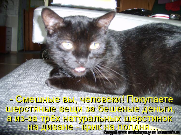 Котоматрица: - Смешные вы, человеки! Покупаете шерстяные вещи за бешеные деньги, а из-за трёх натуральных шерстинок  на диване - крик на полдня...