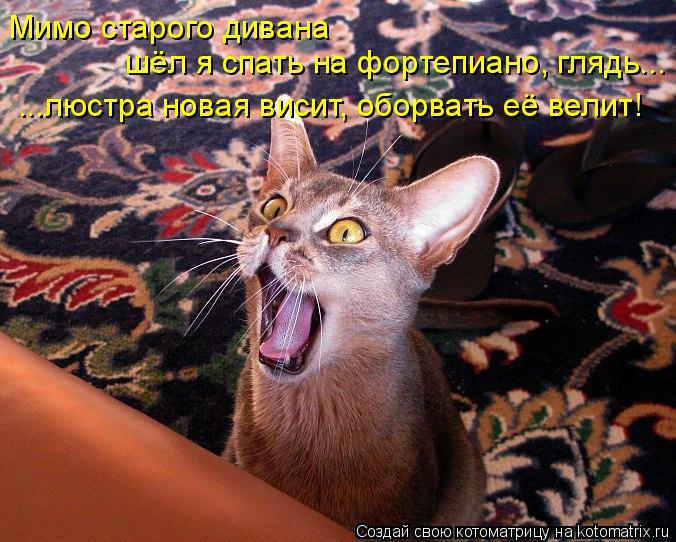 Мимо старого дивана шёл я спать на фортепиано, глядь... ...люстра новая висит, оборвать её велит!... Котоматрица: Мимо старого дивана шёл я спать на фортепиано, глядь... ...люстра новая висит, оборвать её велит!