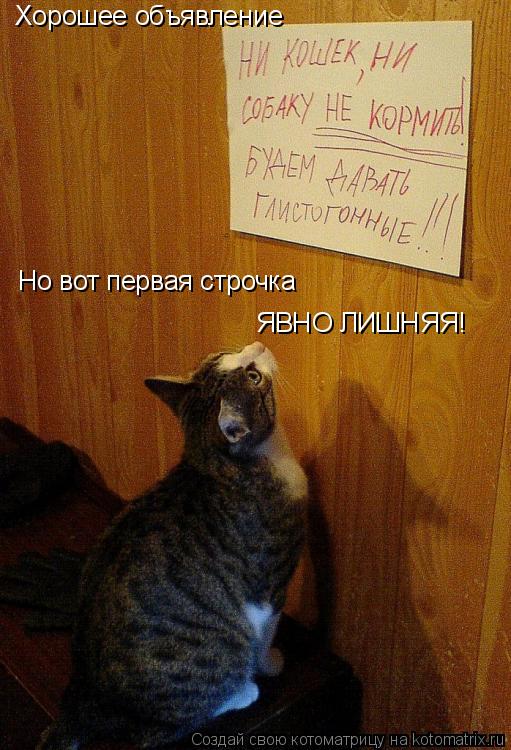 Хорошее объявление Но вот первая строчка ЯВНО ЛИШНЯЯ!... Котоматрица: Хорошее объявление Но вот первая строчка ЯВНО ЛИШНЯЯ!