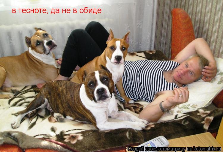 в тесноте, да не в обиде... Котоматрица: в тесноте, да не в обиде