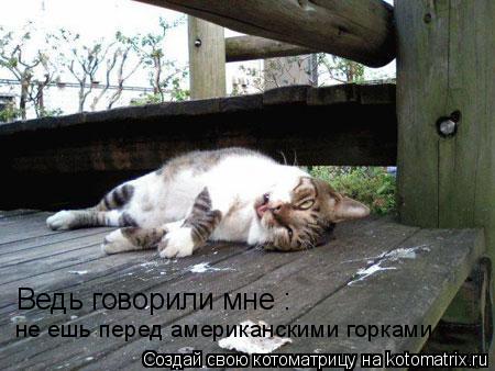 Ведь говорили мне : не ешь перед американскими горками... Котоматрица: Ведь говорили мне : не ешь перед американскими горками
